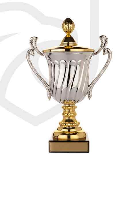 https://leal11sport.com/wp-content/uploads/2022/11/trophy_overlay_02.jpg